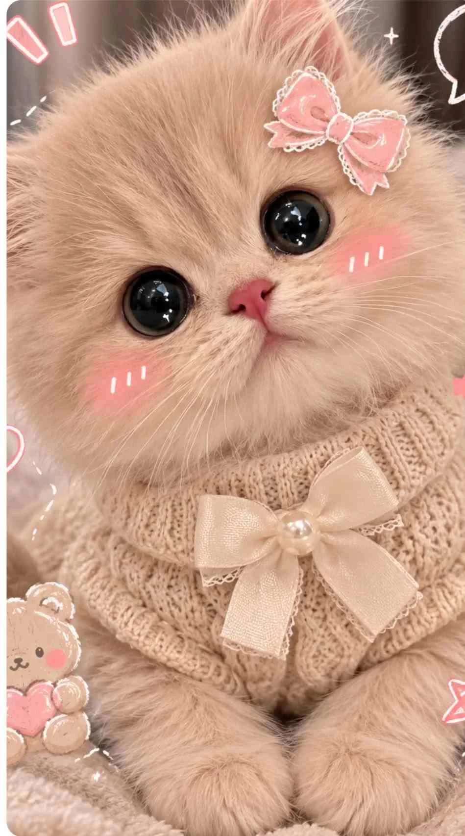 199+ Ảnh Mèo Cute Siêu Dễ Thương Khiến Bạn Tan Chảy - Giờ Lễ Giáo Xứ - Chia Sẻ Giờ Lễ Nhà Thờ Giáo Xứ Việt Nam