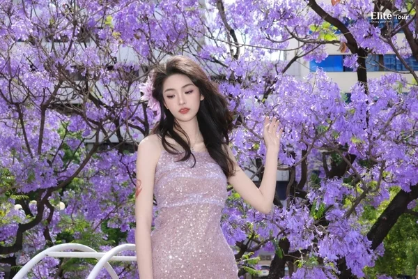 Kinh nghiệm chụp ảnh hoa phượng tím Côn Minh đẹp "triệu like" | Công ty du lịch Elite Tour