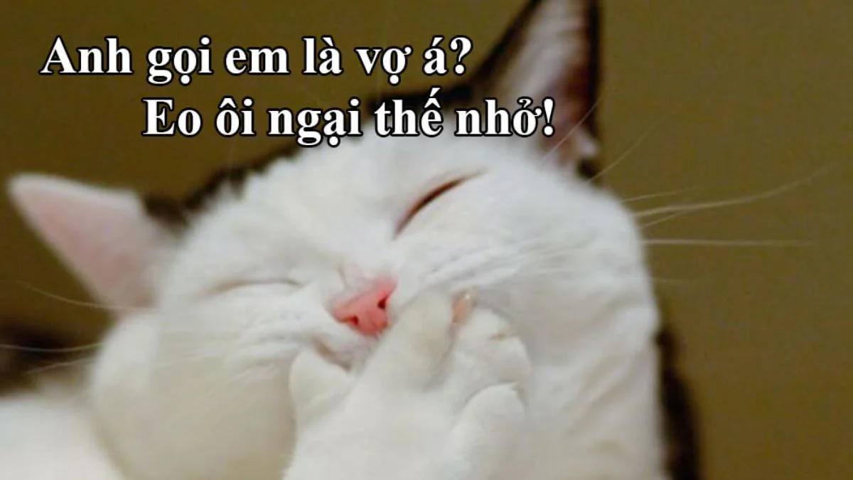 Ảnh meme hài hước chất