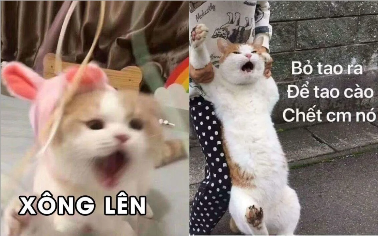 meme hai 30