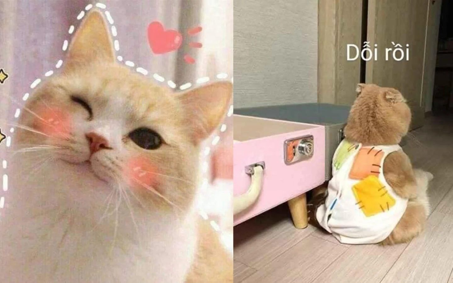 meme hai 23