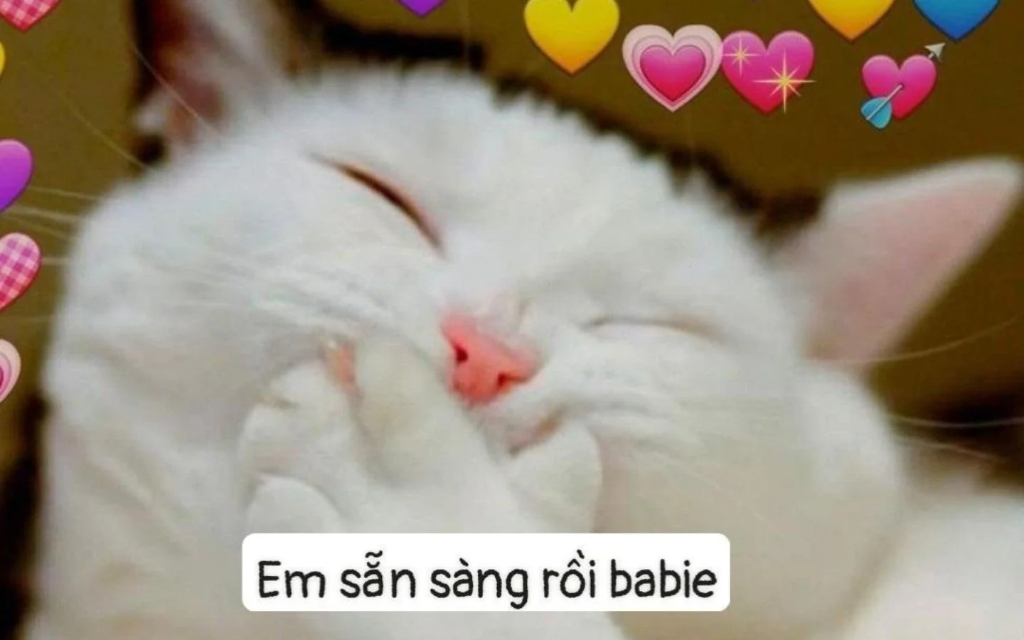 meme hai 33