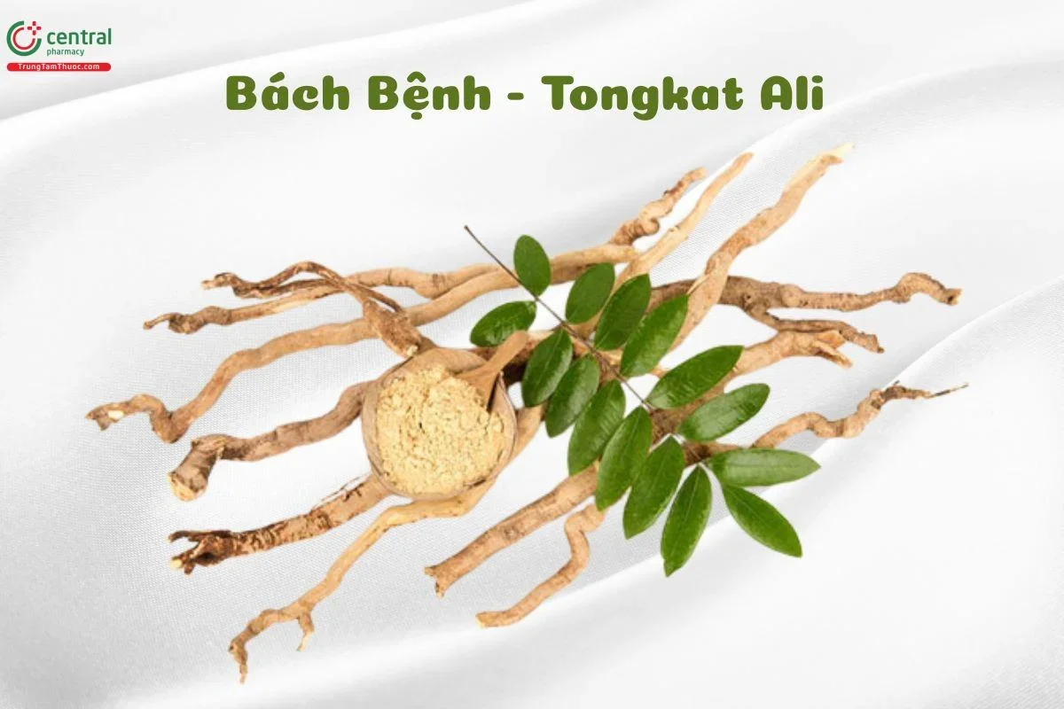 top 10 thuốc tăng kích thước cậu nhỏ - mẫu 1