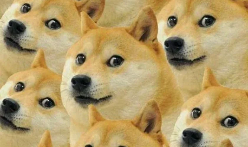 Hình 70 trong bộ sẽ gầy meme
