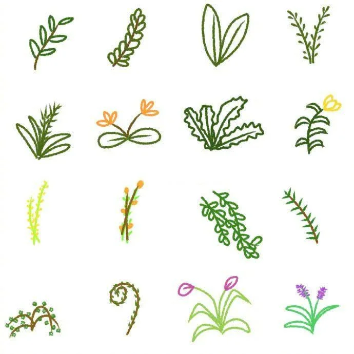Cách vẽ 100 loài cây cối hoa lá siêu đơn giản - Nấm