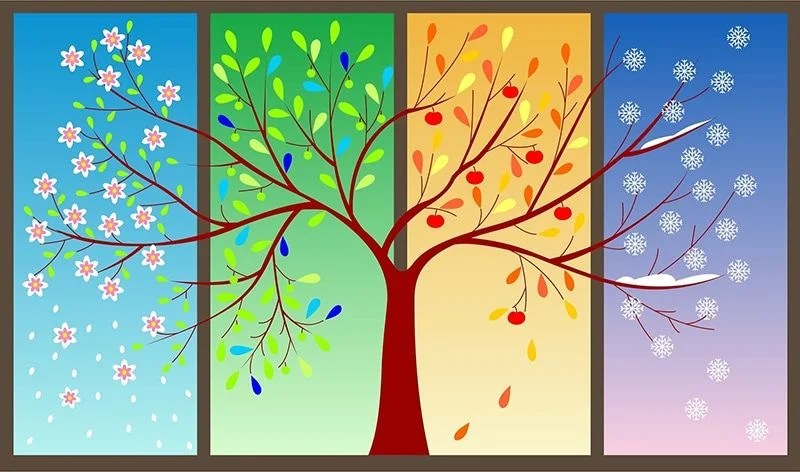 Bí quyết dạy bé vẽ cây đơn giản nhất