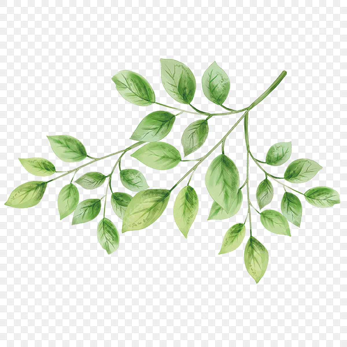 Hình ảnh Vẽ Tay Màu Xanh Lá Cây Vật Liệu Trang Trí PNG , Cây Xanh Clipart, Vẽ Tay, Xinh đẹp PNG miễn phí tải tập tin PSDComment và Vector
