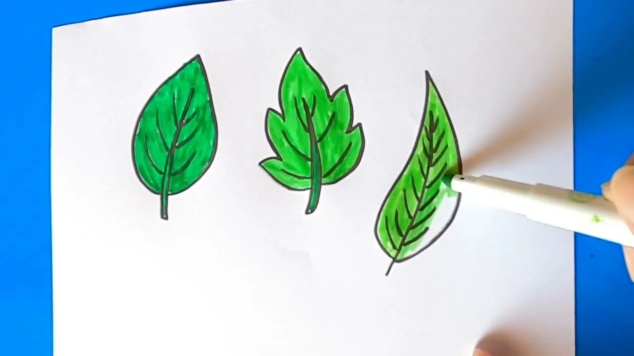 Vẽ Lá cây - Vẽ Chiếc lá | How to draw leaf easy | How to draw leaves