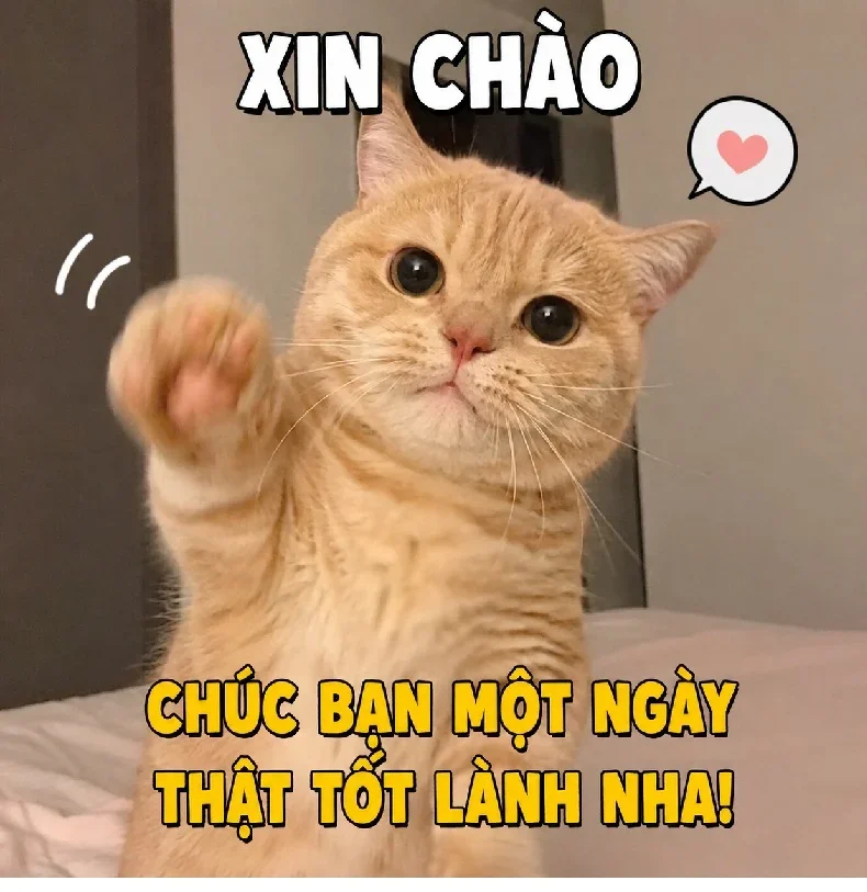 149+ Meme Xin Chào hello hi em chào đại ca ảnh chế siêu hài