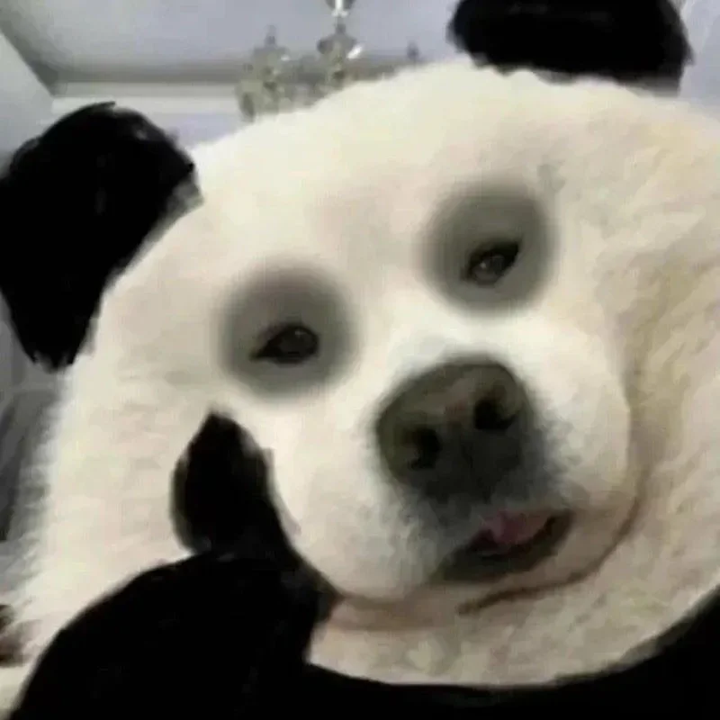 Câu nói đắt giá trong meme gấu trúc thật