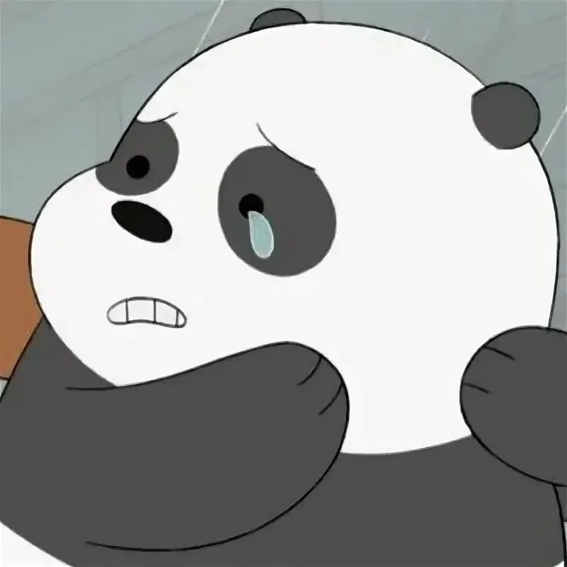 Cười mỏi miệng với meme hài gấu trúc hot trend