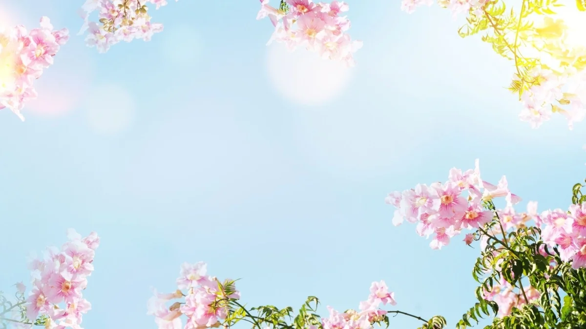 Hình nền 1920x1080 phá cách